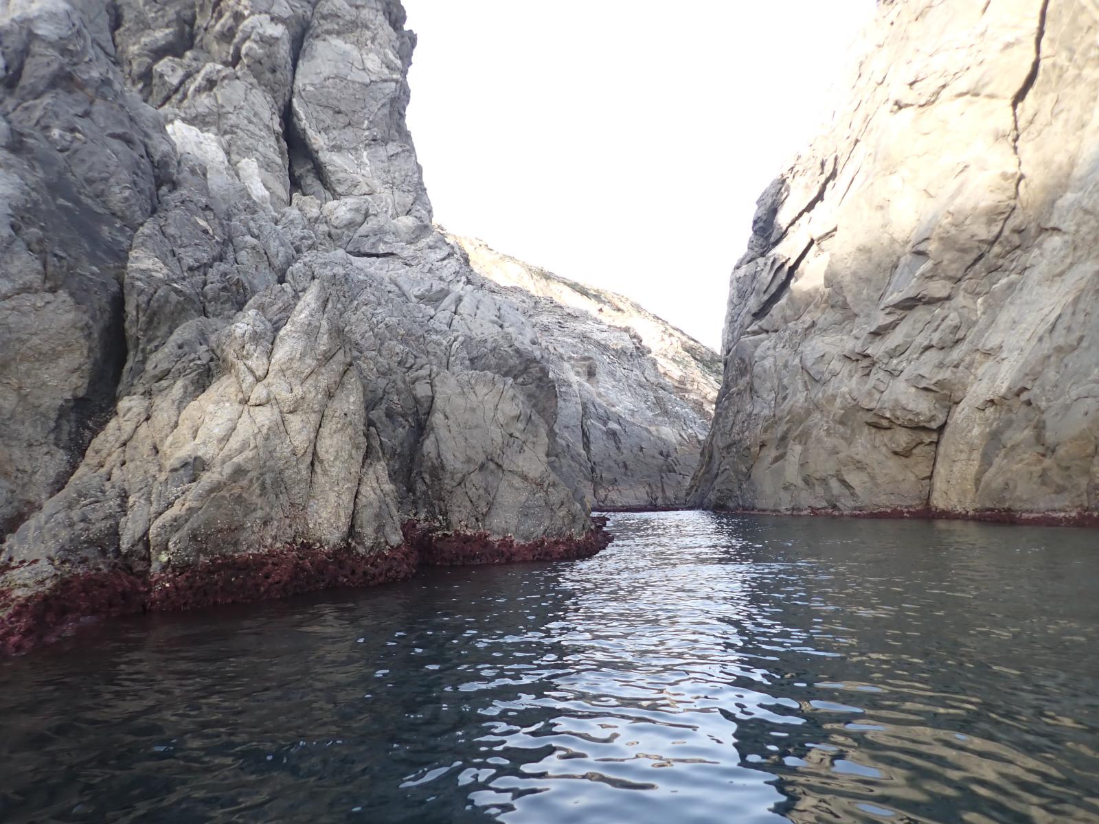 Freu del Boc i la Cabra