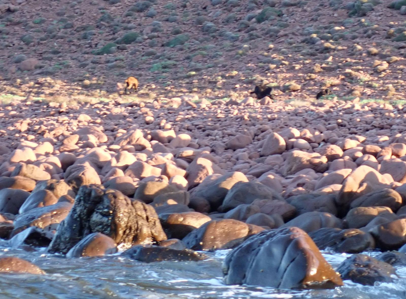 Cala en Carb&oacute;