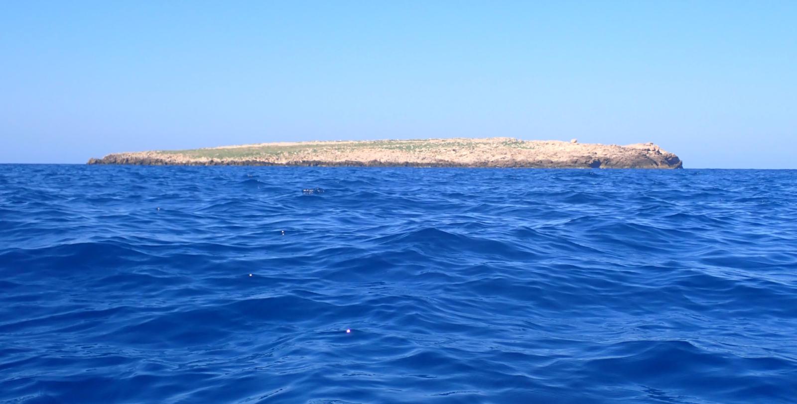 Illa des Porros
