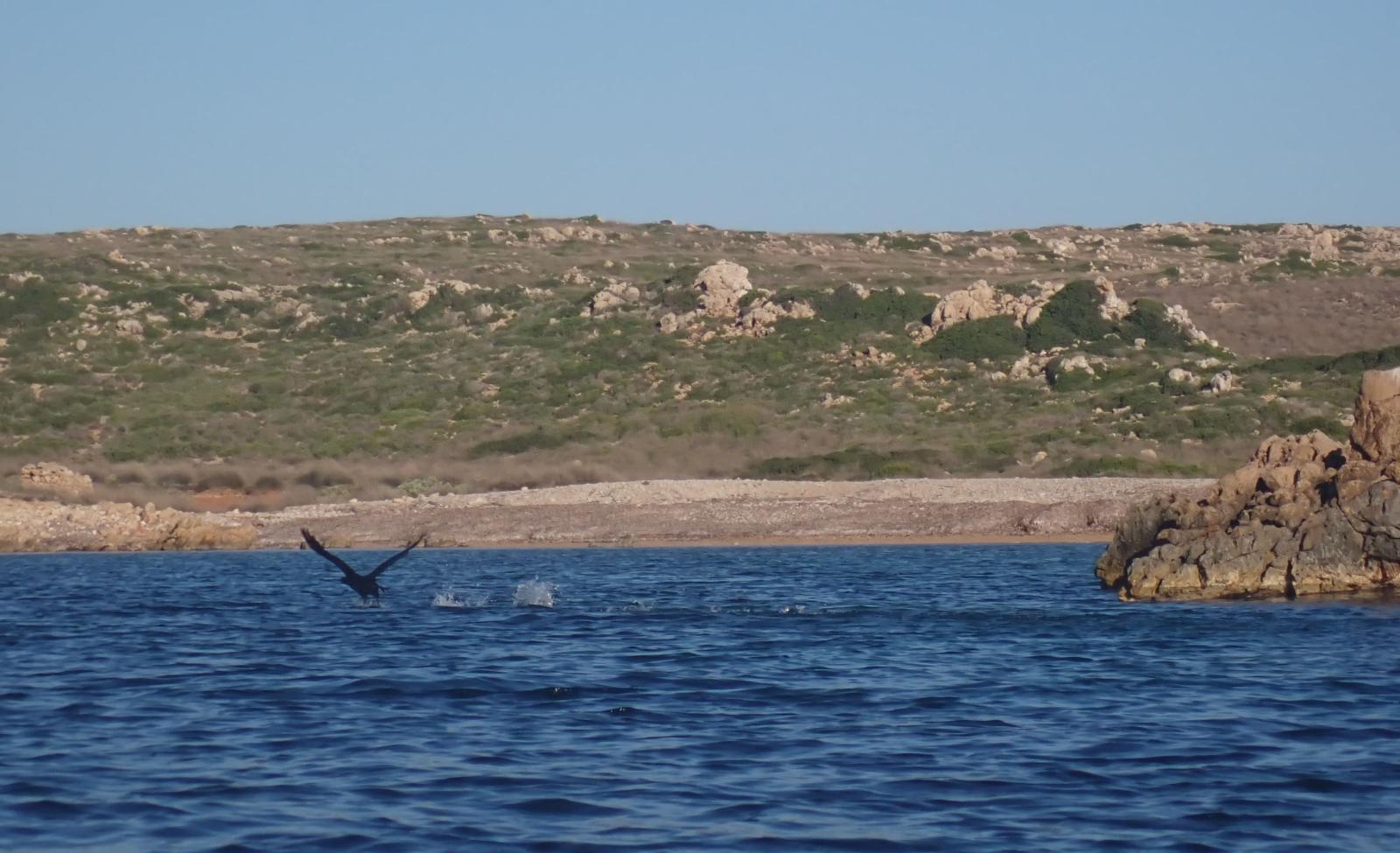 Cal&oacute; en Tosqueta