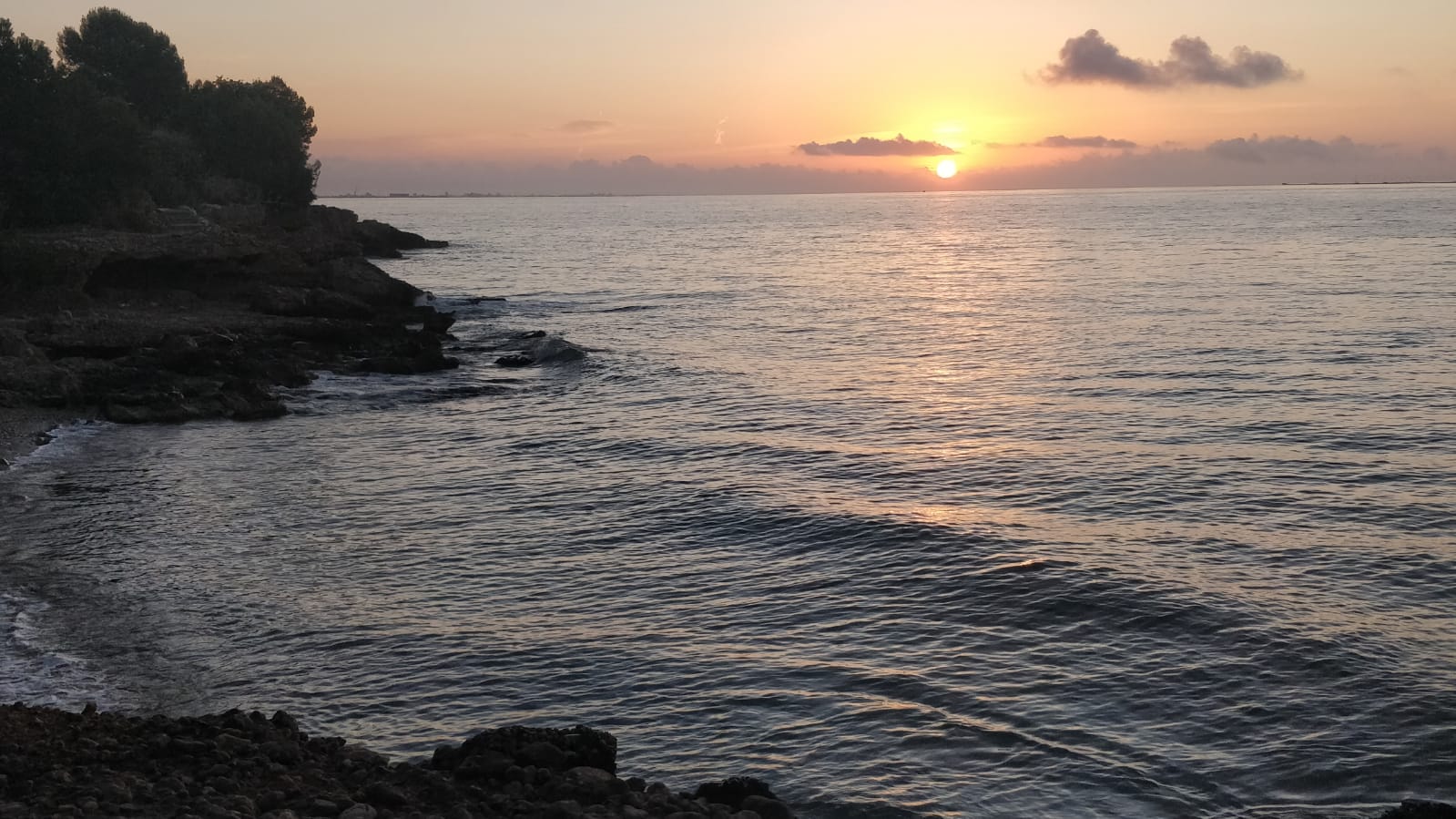 Platjola de la Dorada