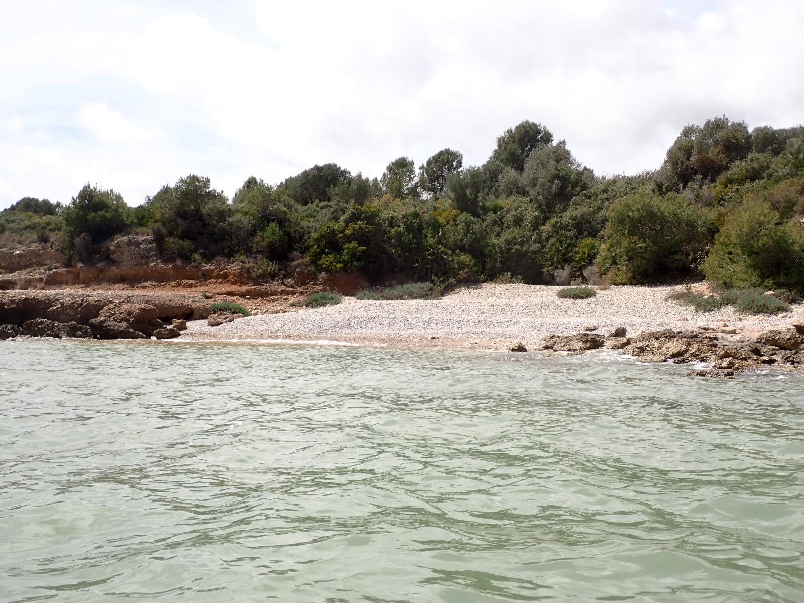 Platjola de la Dorada
