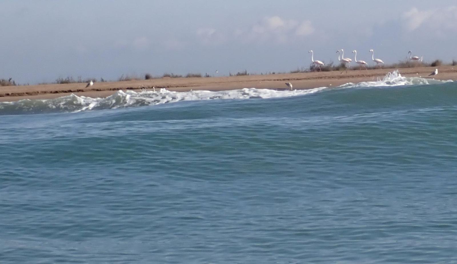Platja de la Punta de la Banya