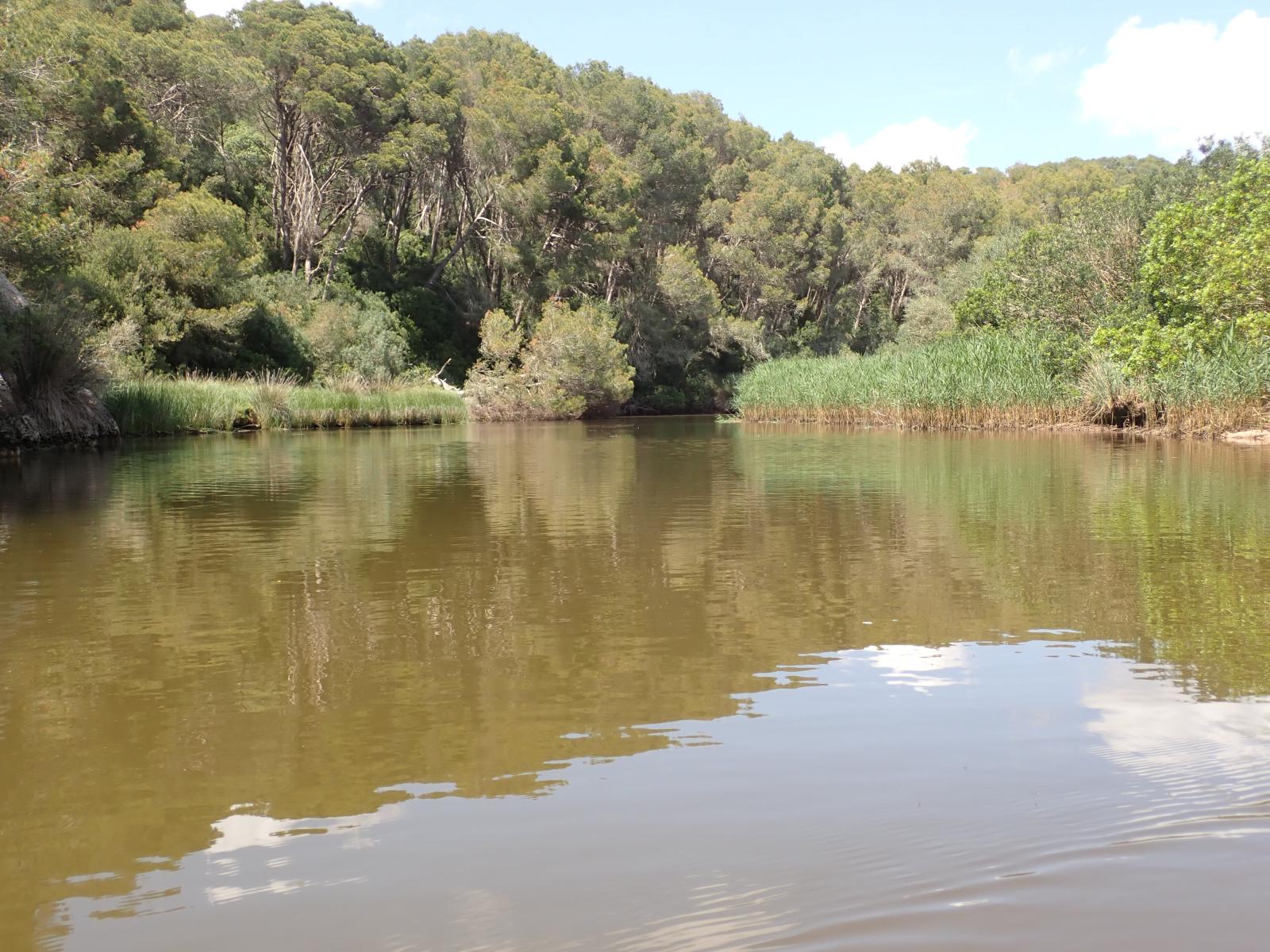 Barranc de Trabal&uacute;ger