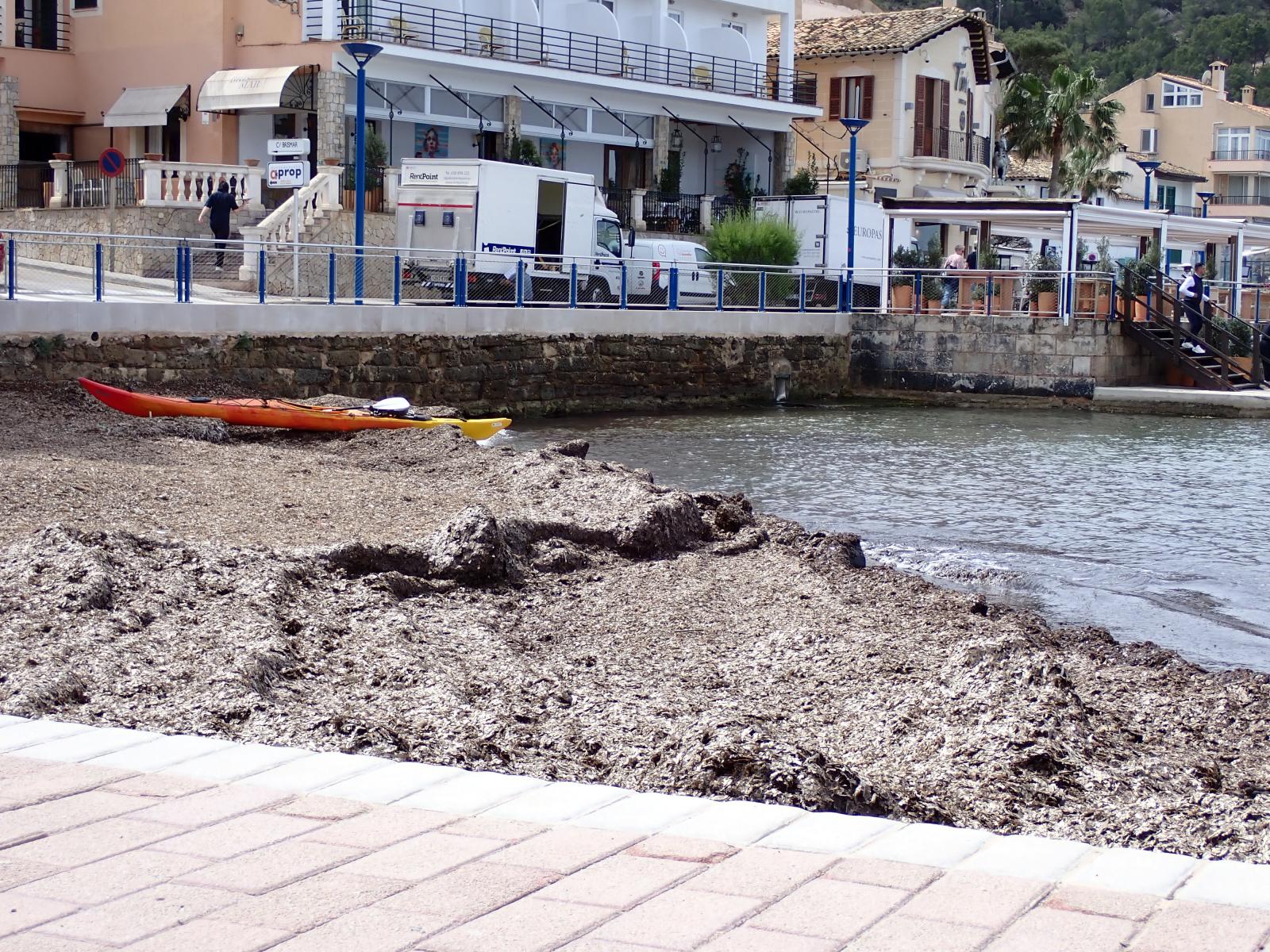 Platja de ses Bassetes