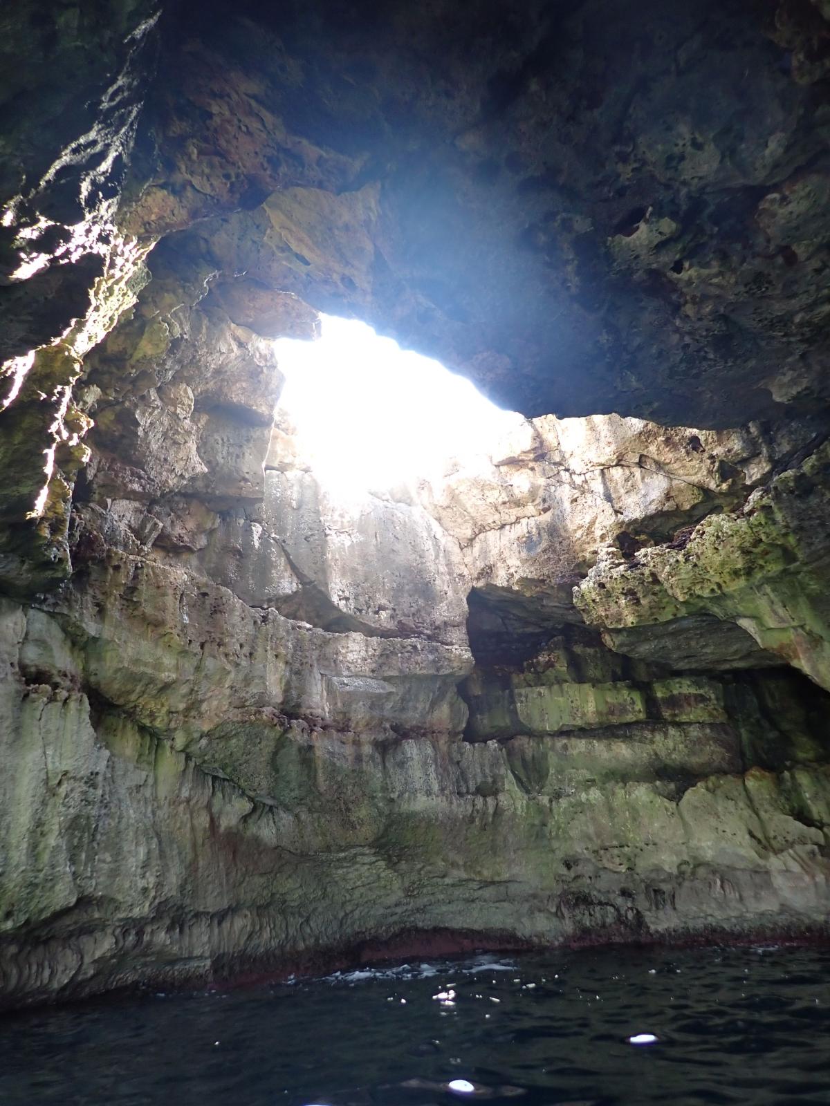 Bufador de Punta Rafalera