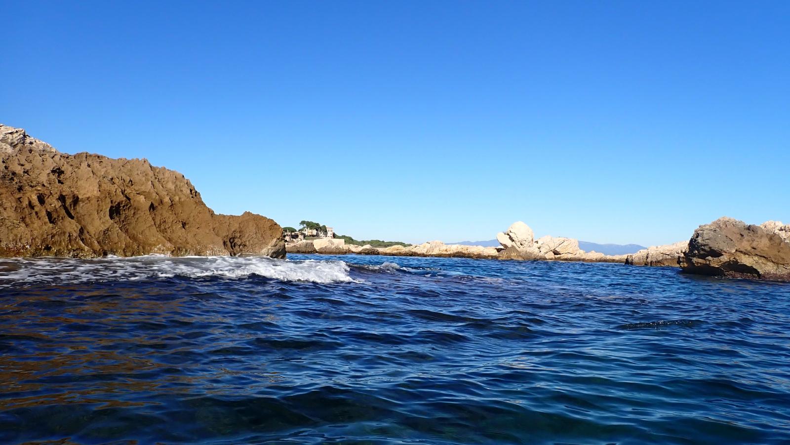 Les Muscleres Grosses