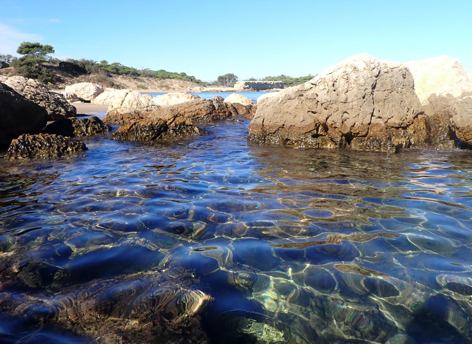Les Muscleres Grosses