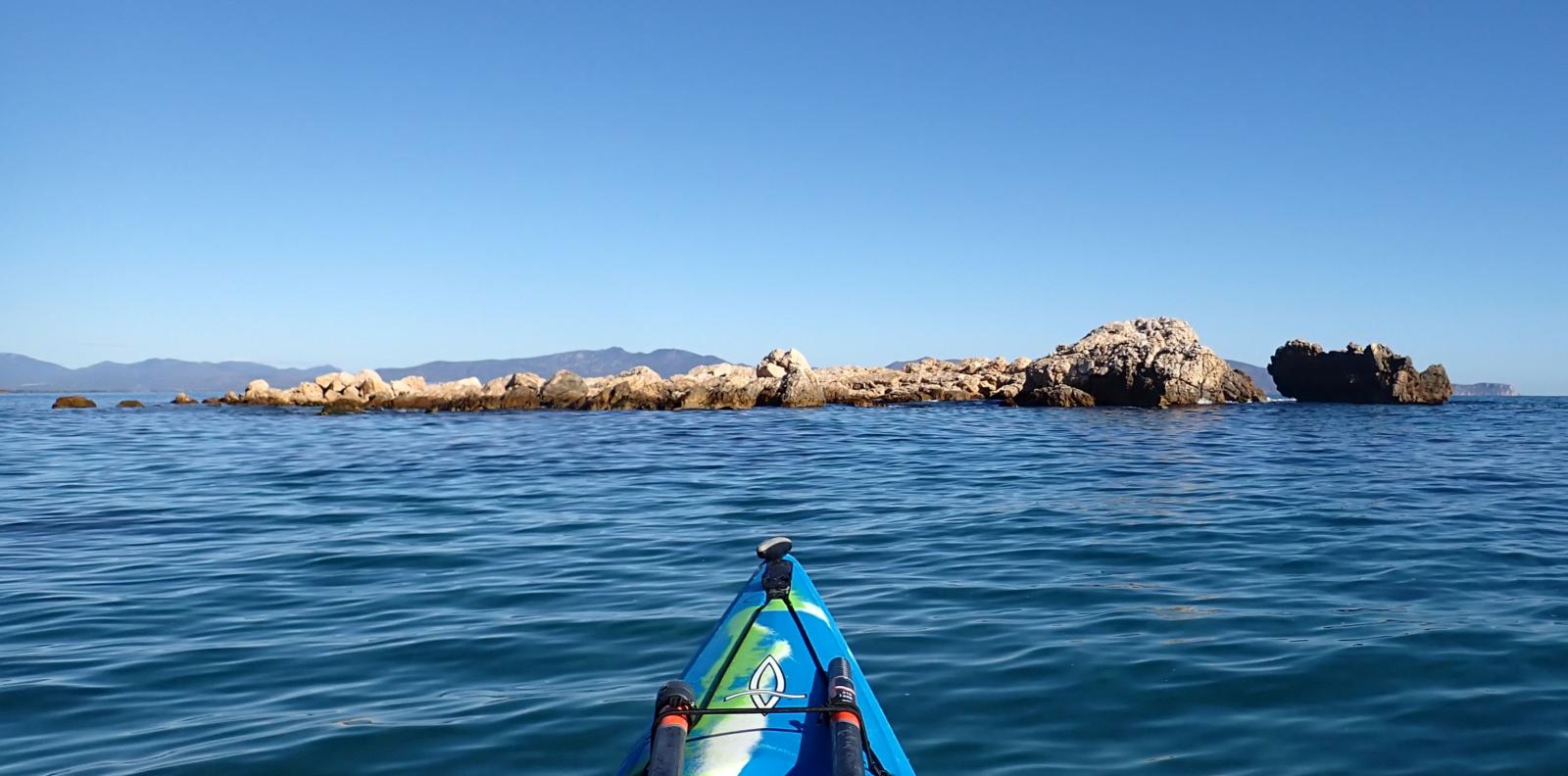 Les Muscleres Grosses