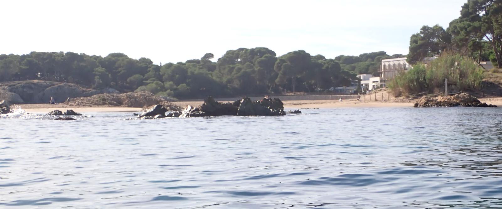 Les Muscleres Petites