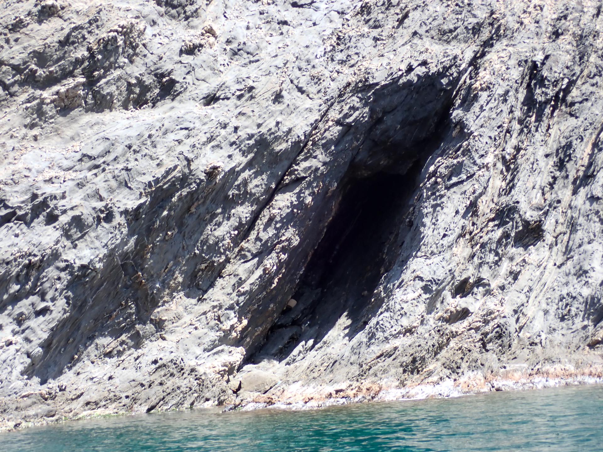 Cova del Ravener