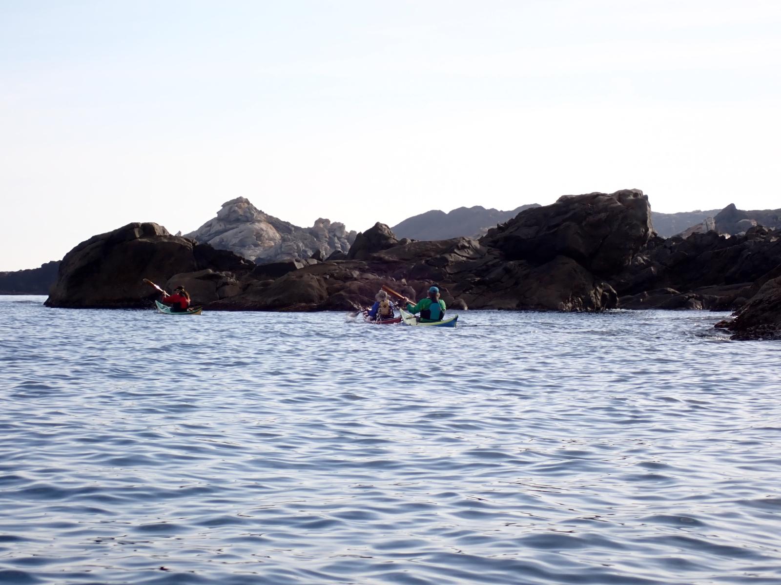 Rac&oacute; de sa Polla